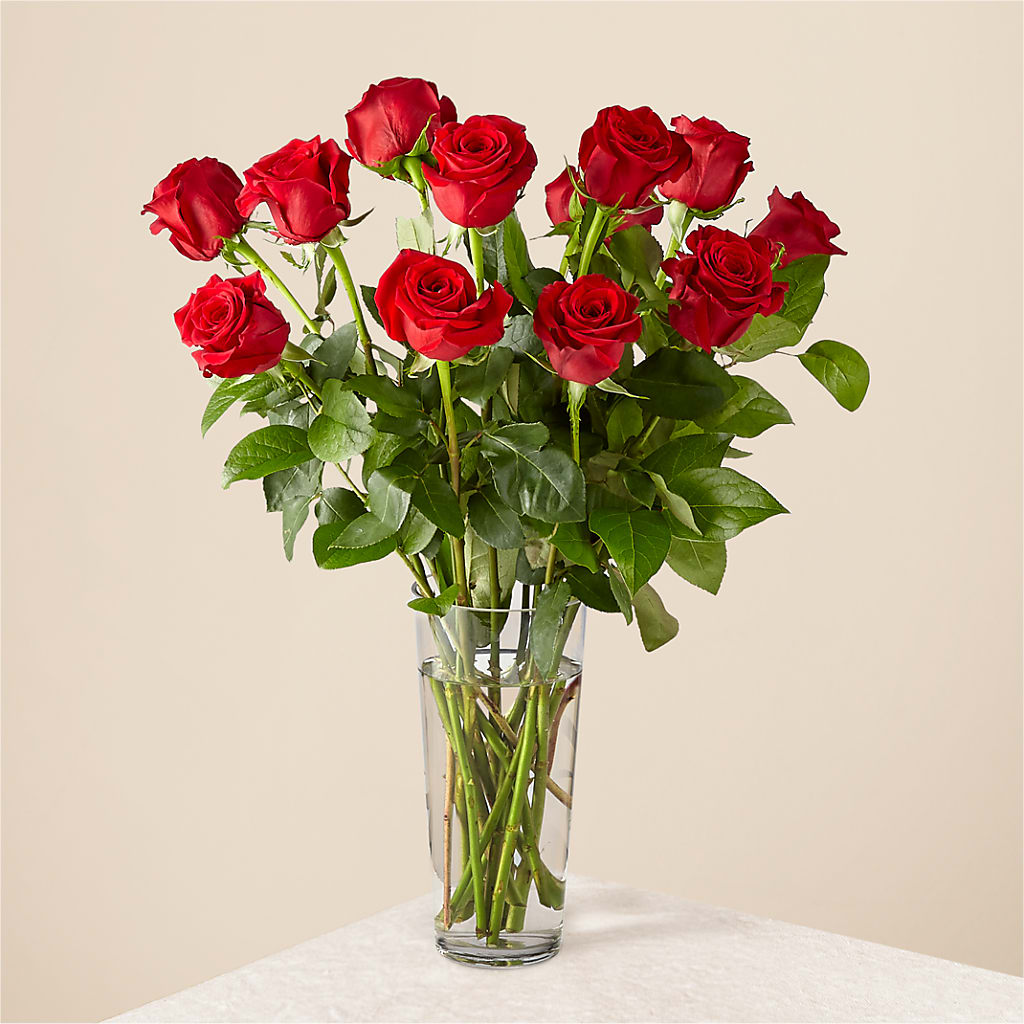 Long Stem Red Rose Bouquet – Lone Oak Gardens, Fairmount IN