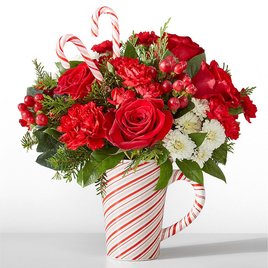 Peppermint Swirl Mug – Lone Oak Gardens, Fairmount IN