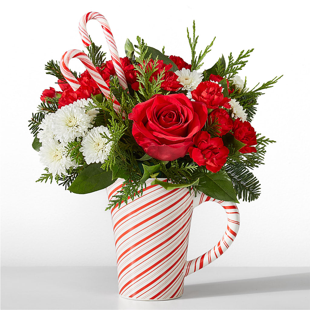 Peppermint Swirl Mug – Lone Oak Gardens, Fairmount IN