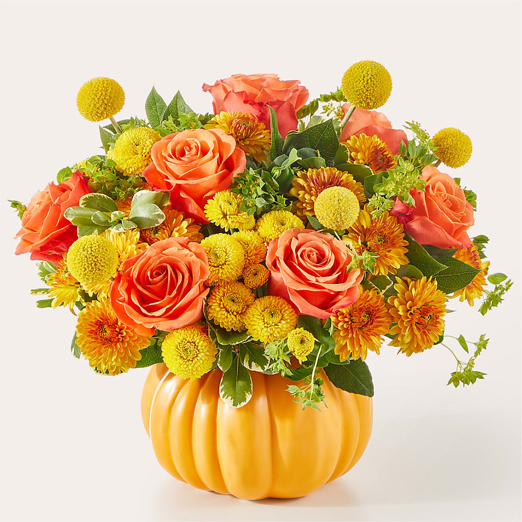 Gourdgeous Pumpkin – Lone Oak Gardens, Fairmount IN