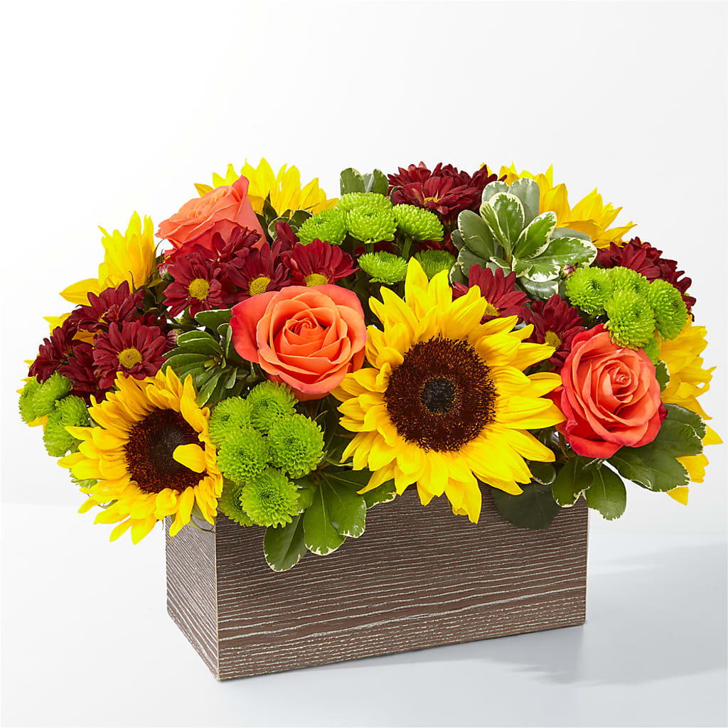 Happy Harvest Garden – Lone Oak Gardens, Fairmount IN