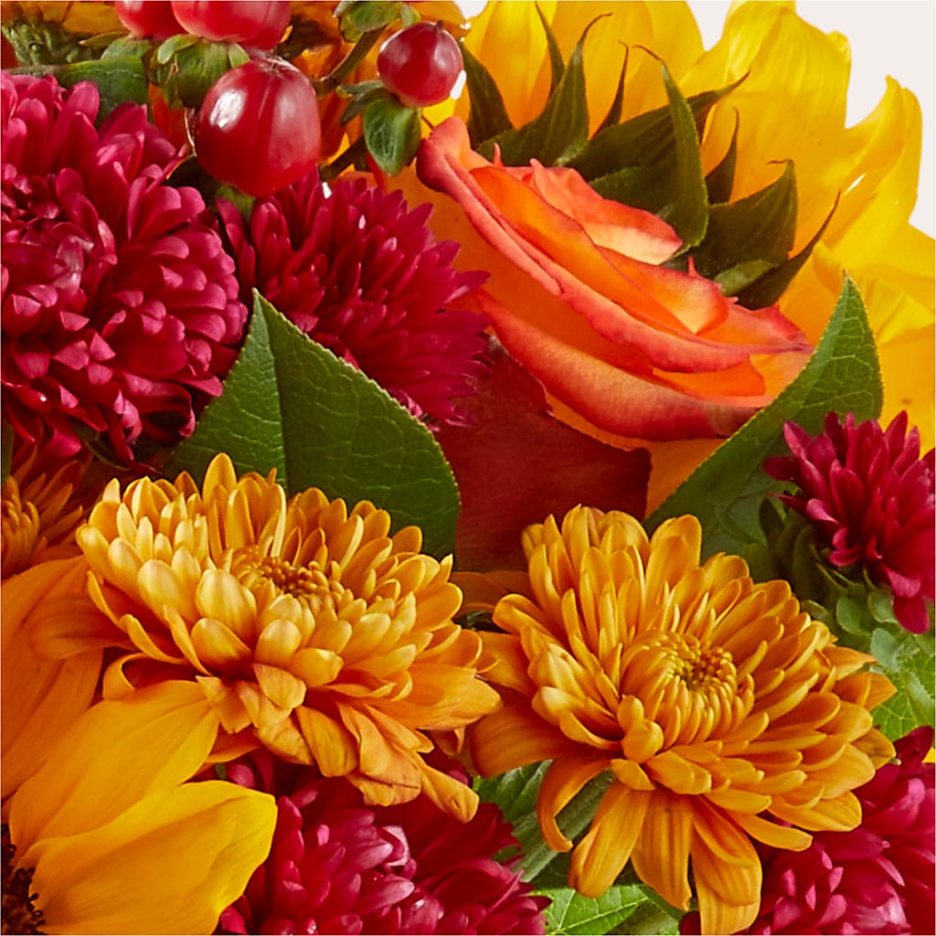 Sweater Season - A Florist Original – Lone Oak Gardens, Fairmount IN
