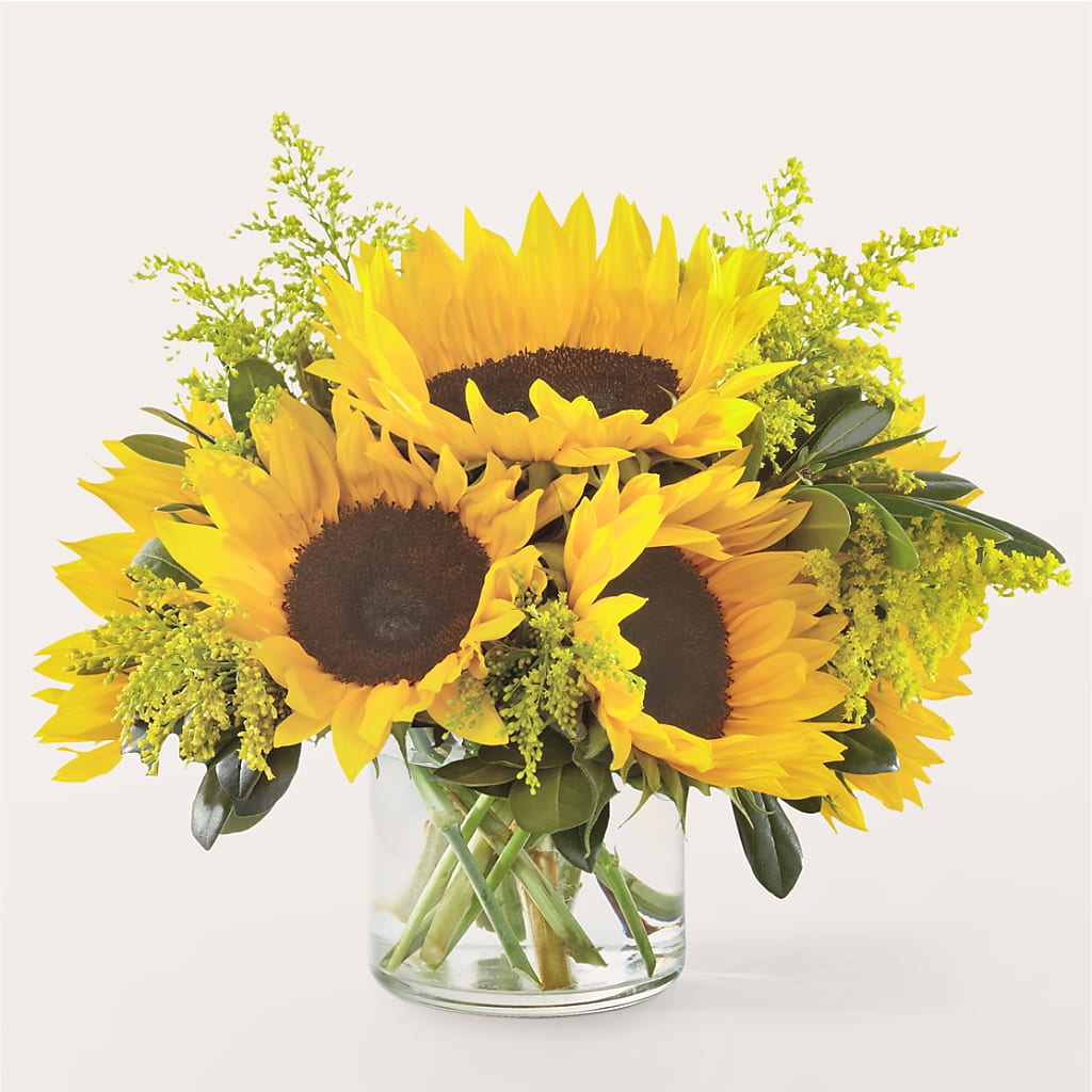 Beaming Sunflower Bouquet – Lone Oak Gardens, Fairmount IN