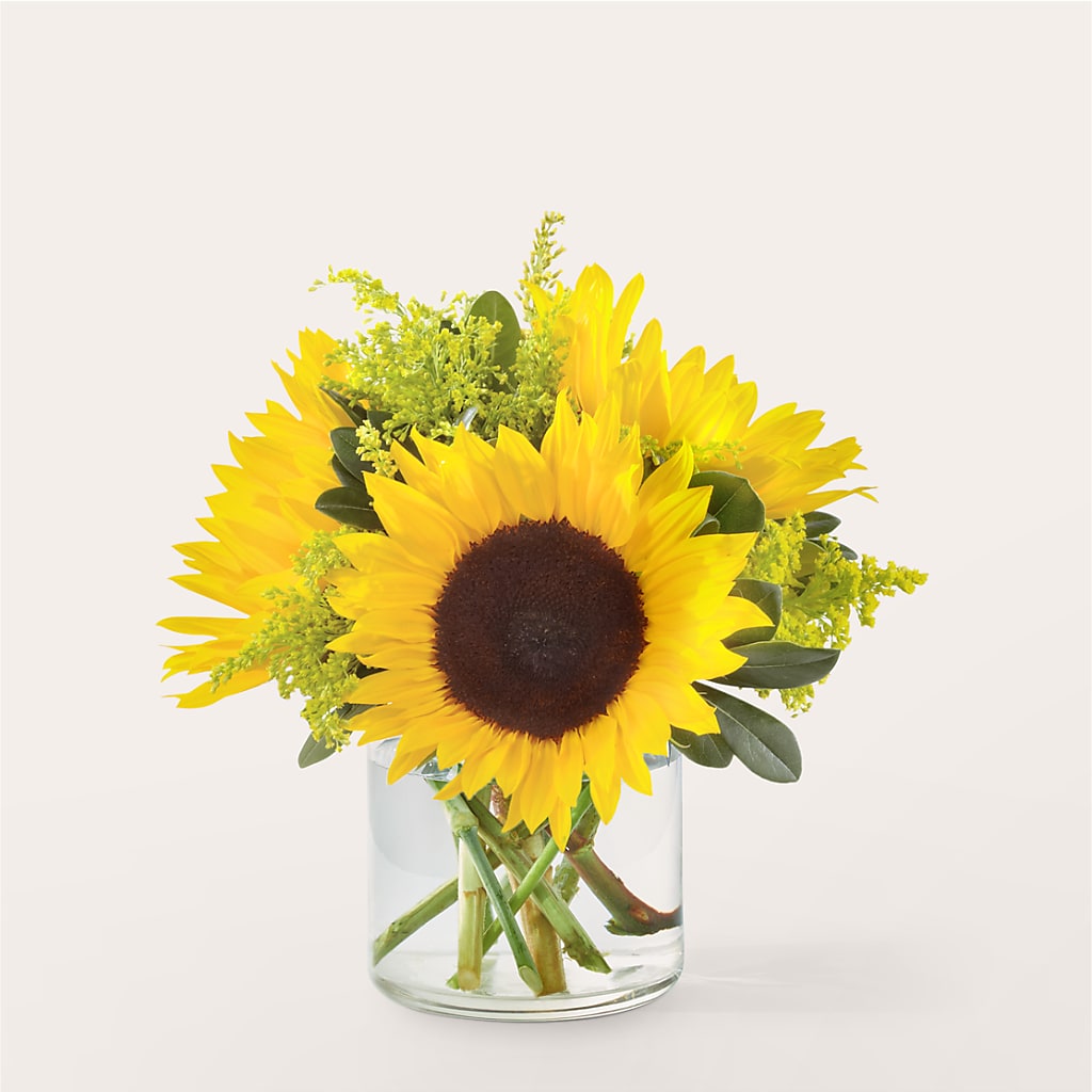 Beaming Sunflower Bouquet – Lone Oak Gardens, Fairmount IN