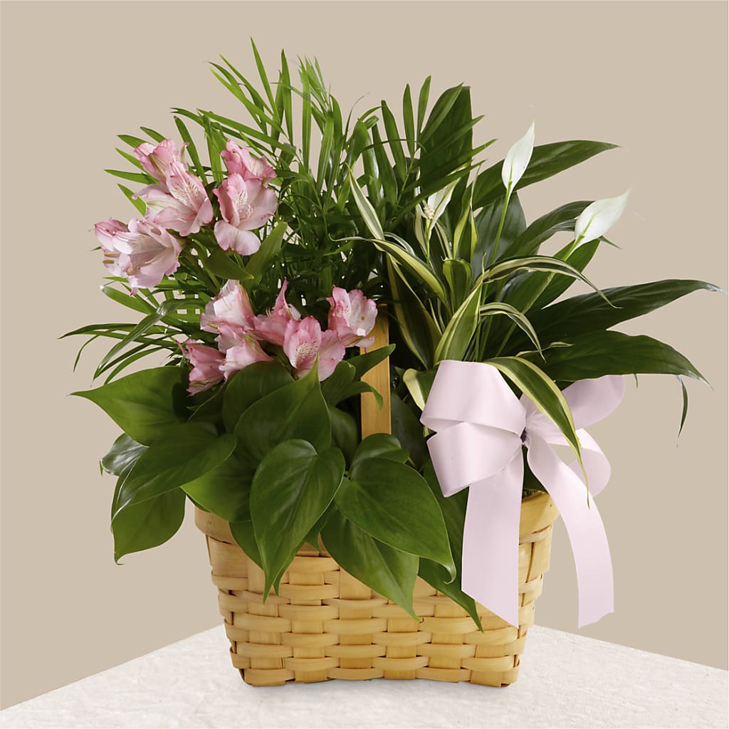 Living Spirit Dishgarden – Lone Oak Gardens, Fairmount IN