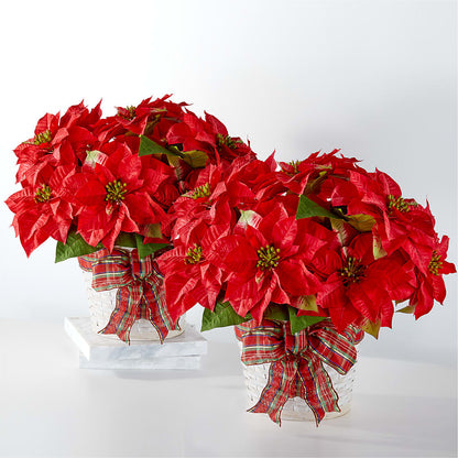Happiest Holidays Poinsettia Bundle –  Lone Oak Gardens, Fairmount IN