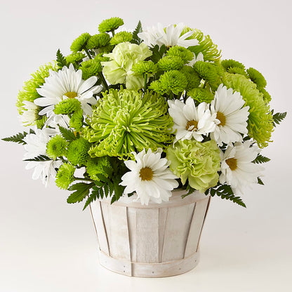 Lucky Charm Basket (Standard) –  Lone Oak Gardens, Fairmount IN