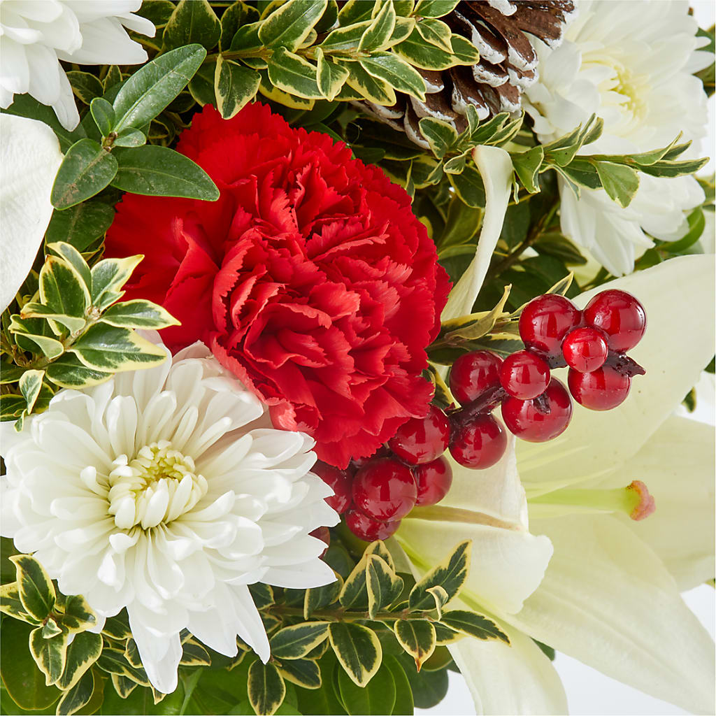 Festive Moments Tree –  Lone Oak Gardens, Fairmount IN