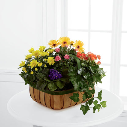 Gentle Blossoms Basket –  Lone Oak Gardens, Fairmount IN