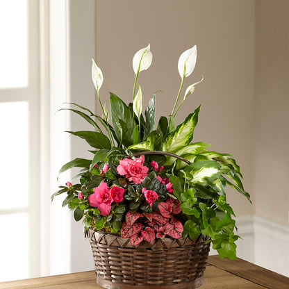 Dream in Pink Dishgarden –  Lone Oak Gardens, Fairmount IN