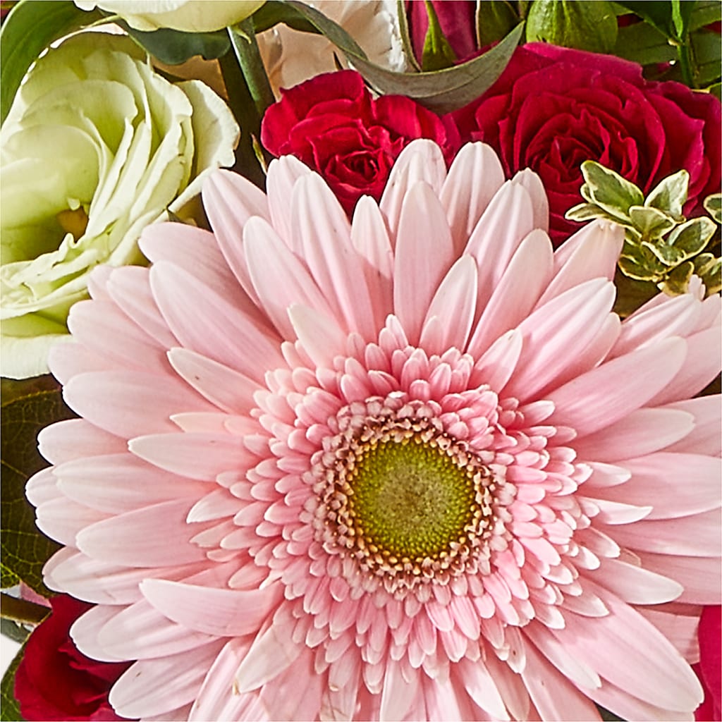 Too Cute Bouquet –  Lone Oak Gardens, Fairmount IN