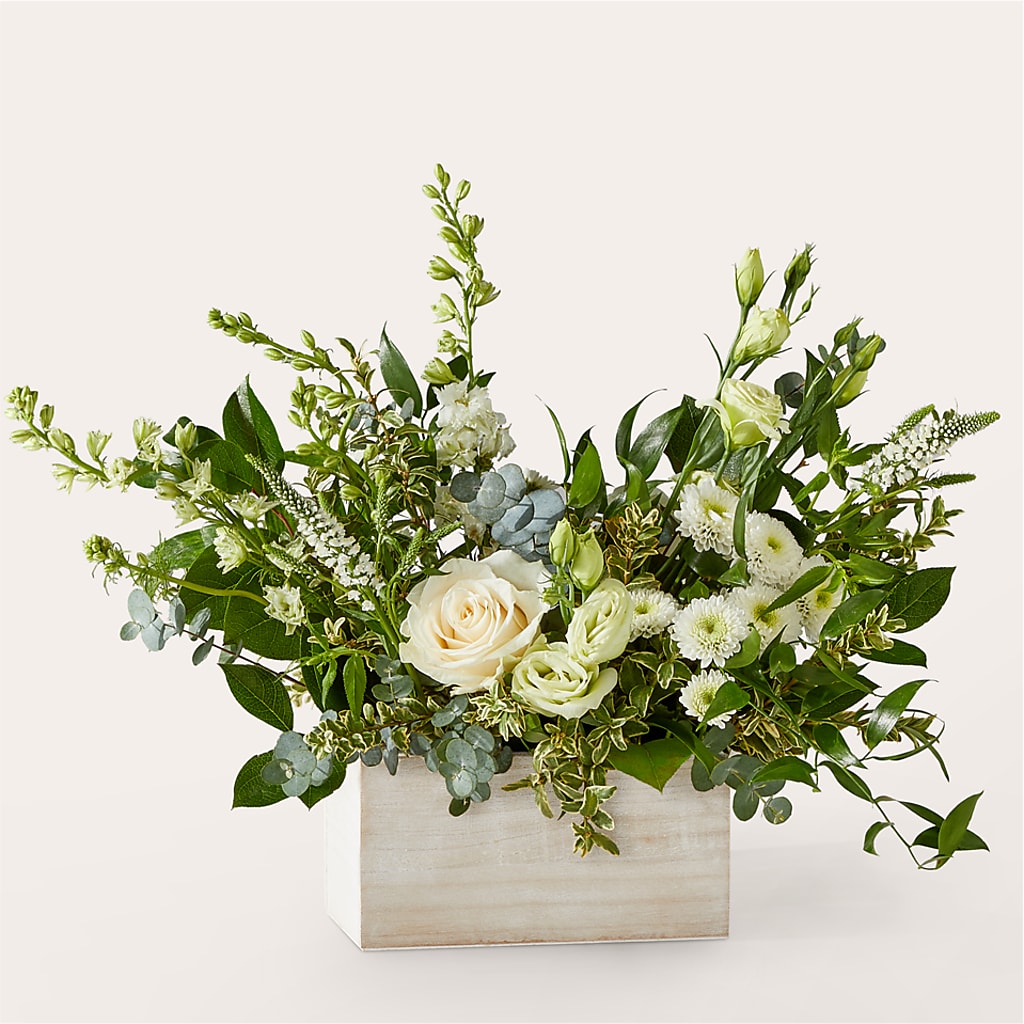 Cashmere Bouquet –  Lone Oak Gardens, Fairmount IN