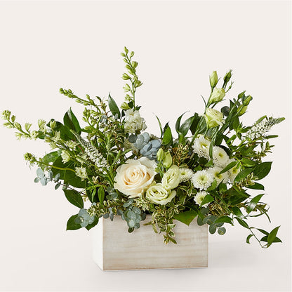 Cashmere Bouquet –  Lone Oak Gardens, Fairmount IN