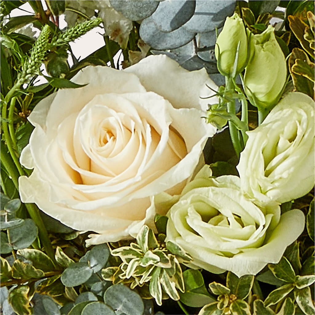 Cashmere Bouquet –  Lone Oak Gardens, Fairmount IN