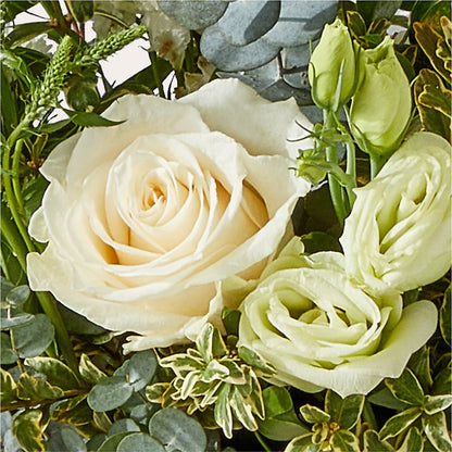 Cashmere Bouquet –  Lone Oak Gardens, Fairmount IN