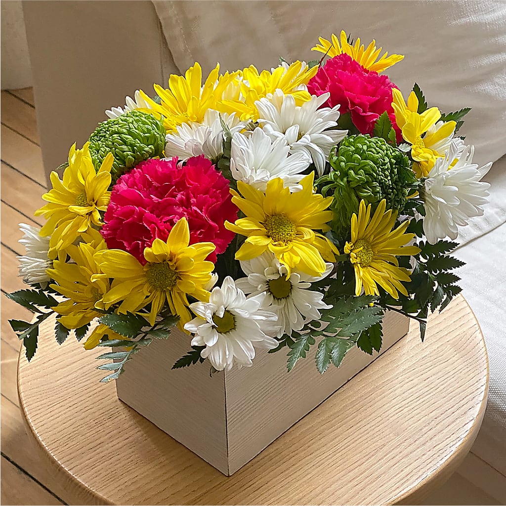 Sorbet Bouquet –  Lone Oak Gardens, Fairmount IN