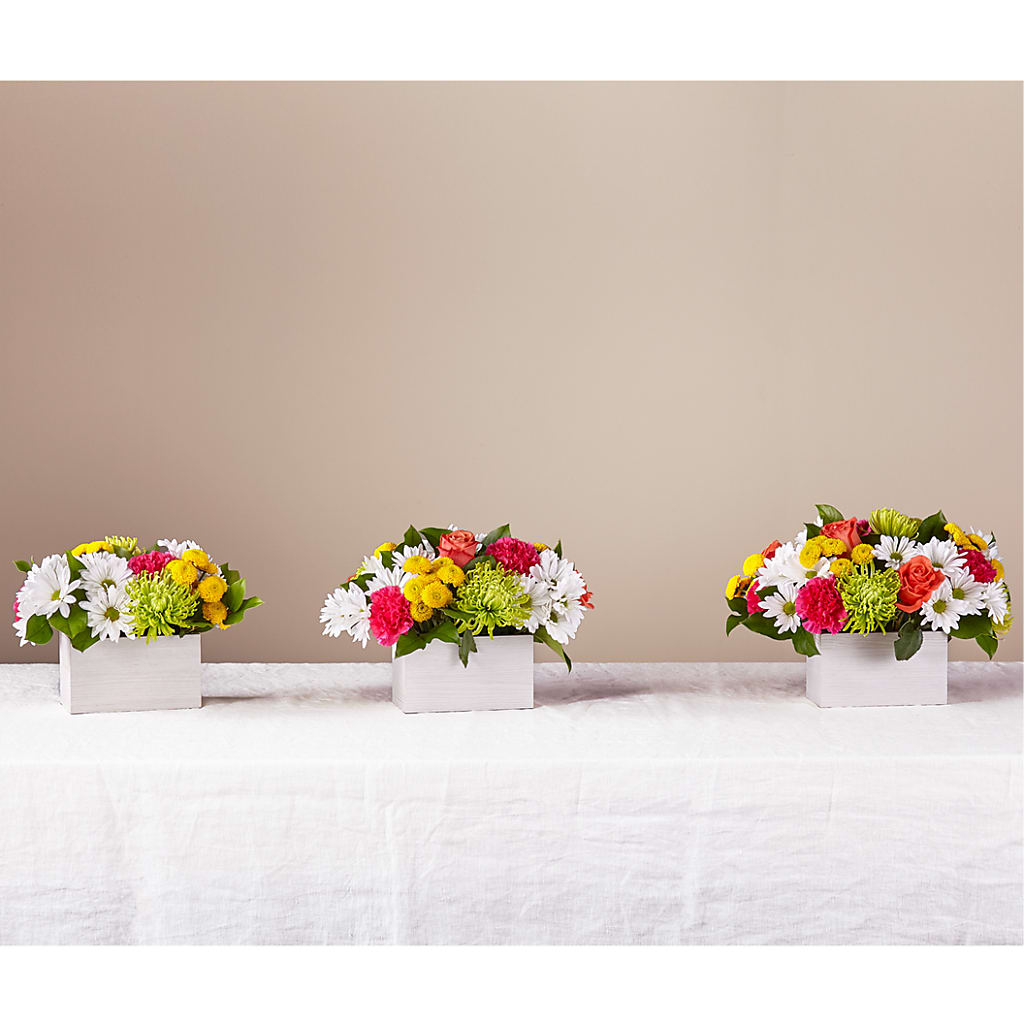 Sorbet Bouquet –  Lone Oak Gardens, Fairmount IN