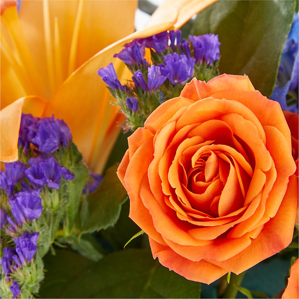 Radiant Citrus Box Bouquet –  Lone Oak Gardens, Fairmount IN
