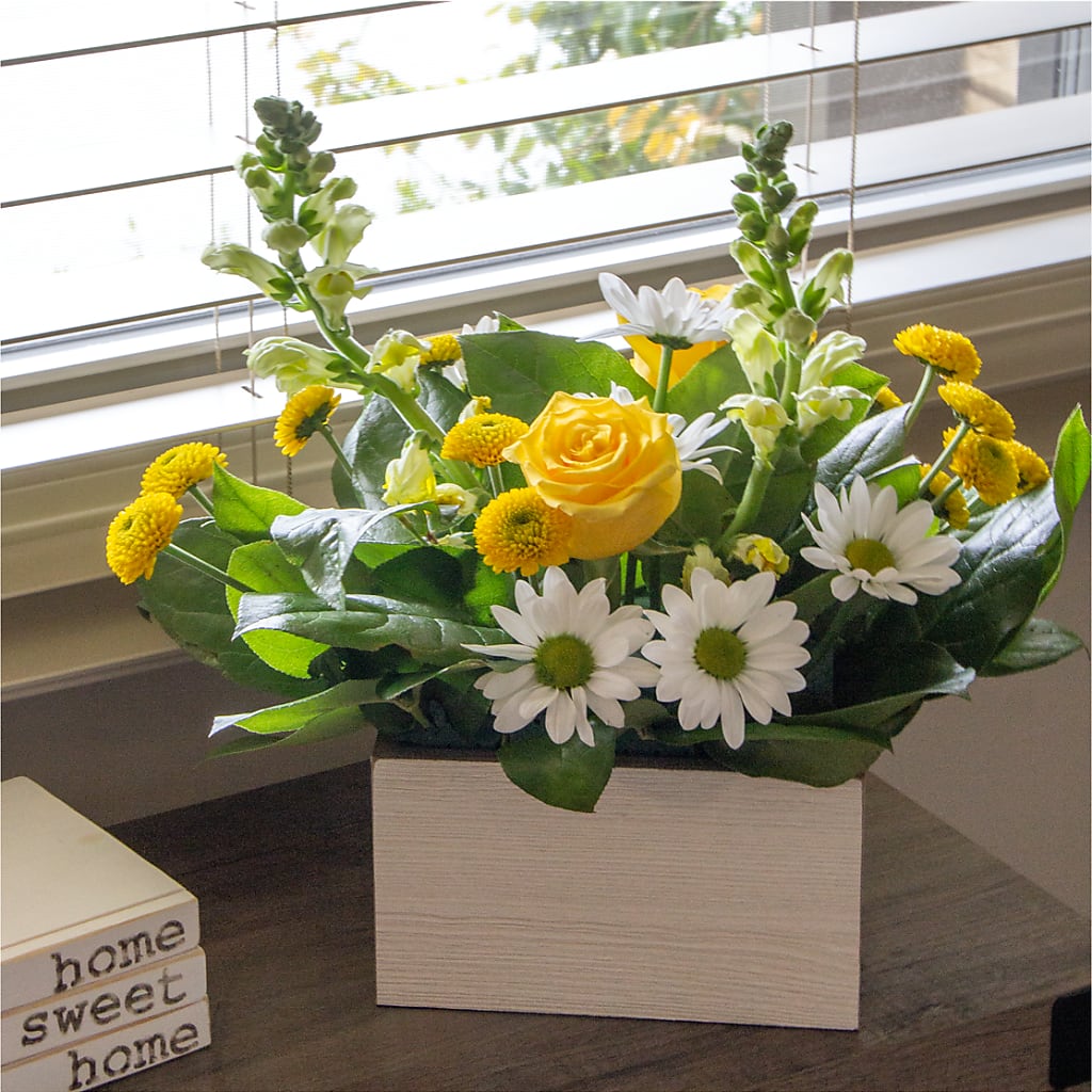 Sun Salutation Box Bouquet –  Lone Oak Gardens, Fairmount IN