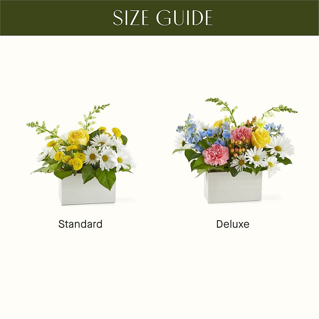 Sun Salutation Box Bouquet –  Lone Oak Gardens, Fairmount IN