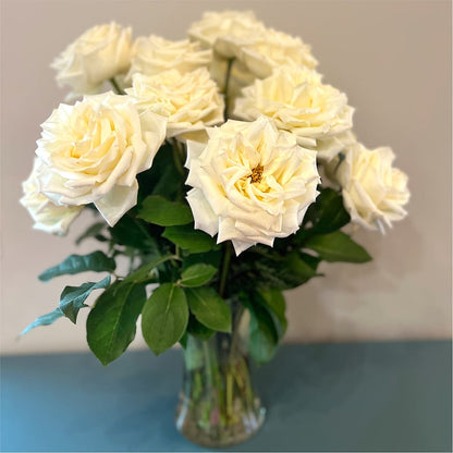Long Stem Yellow Rose Bouquet –  Lone Oak Gardens, Fairmount IN