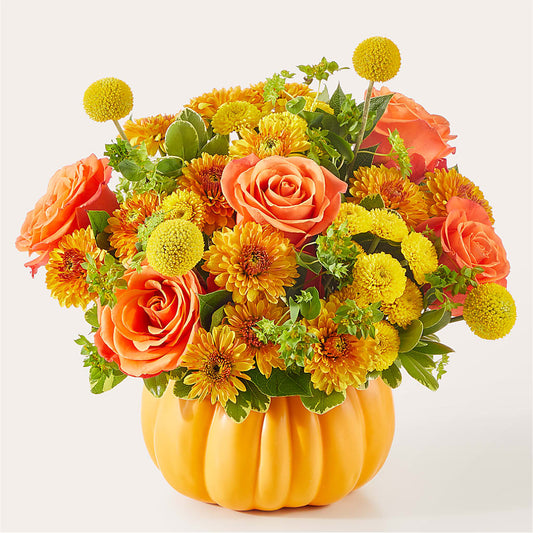 Gourdgeous Pumpkin –  Lone Oak Gardens, Fairmount IN