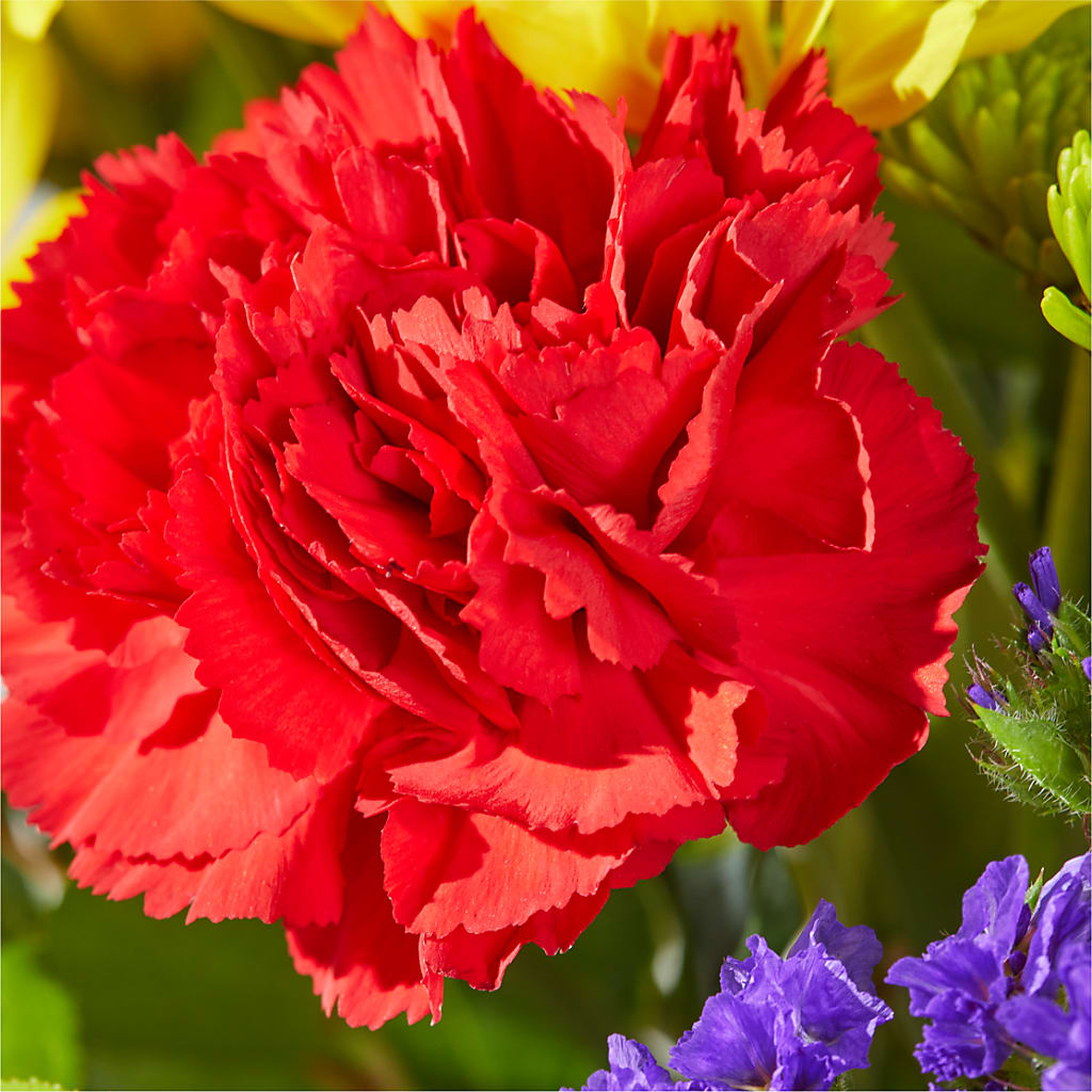 Brighter Days Bouquet –  Lone Oak Gardens, Fairmount IN