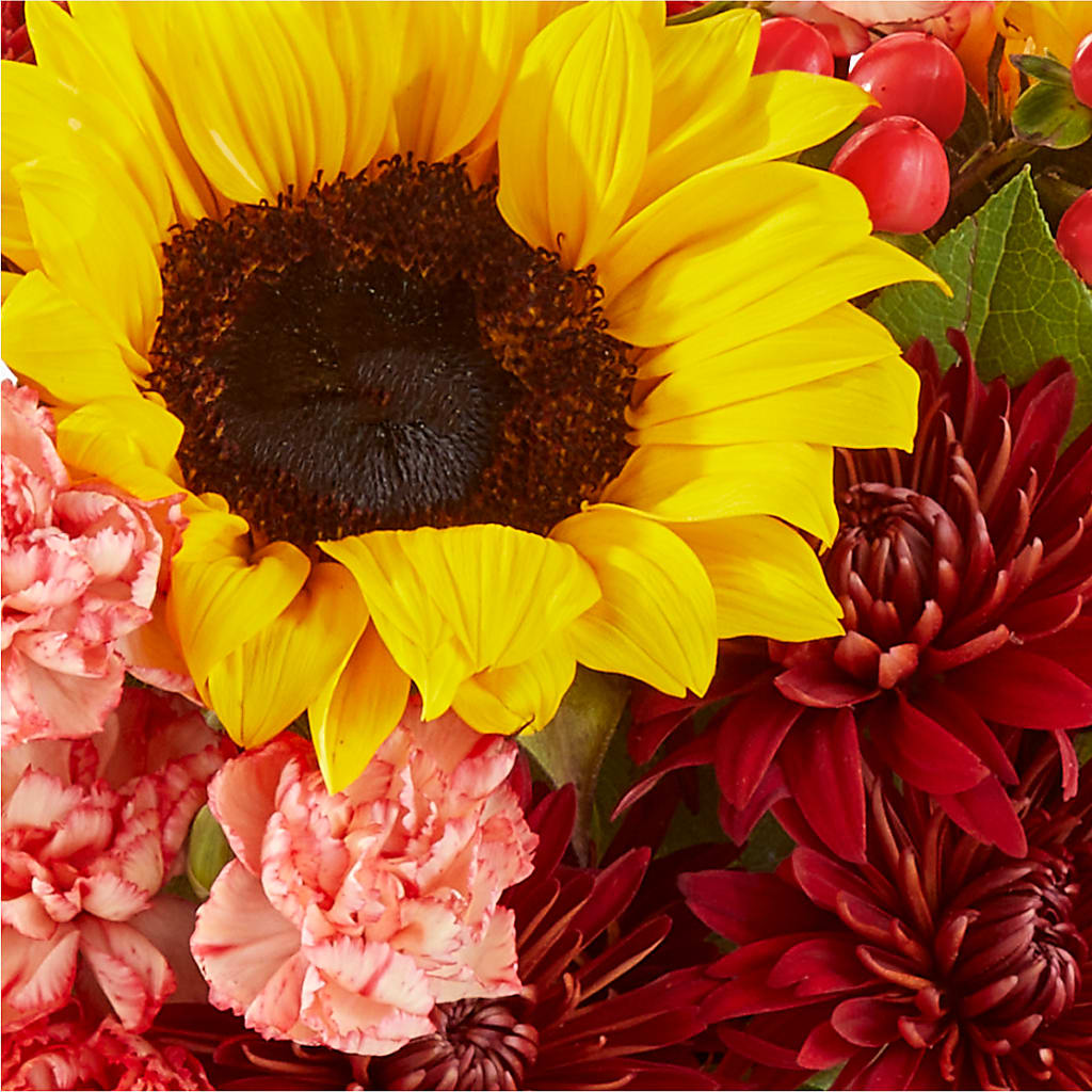 Fresh Cider Bouquet –  Lone Oak Gardens, Fairmount IN