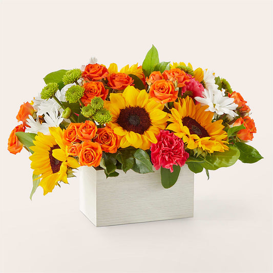 Sun-drenched Blooms Box Bouquet –  Lone Oak Gardens, Fairmount IN