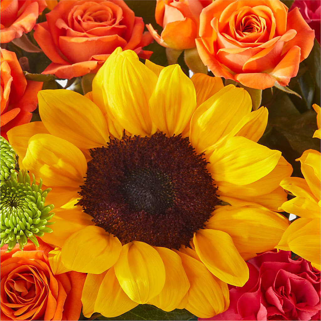Sun-drenched Blooms Box Bouquet –  Lone Oak Gardens, Fairmount IN