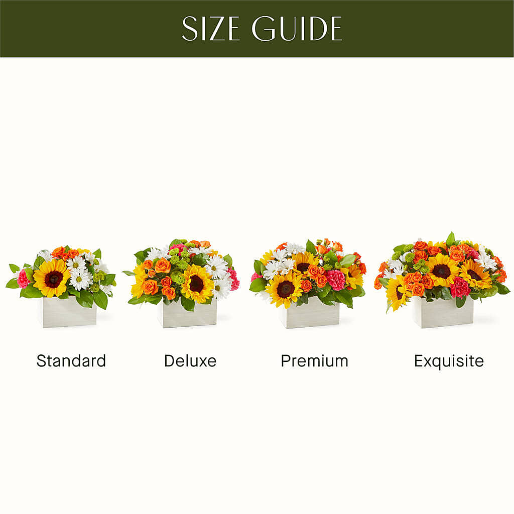 Sun-drenched Blooms Box Bouquet –  Lone Oak Gardens, Fairmount IN