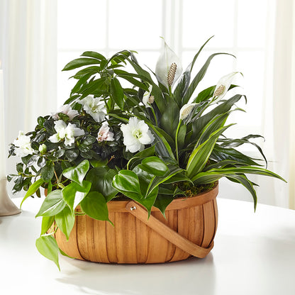 Serene Dishgarden –  Lone Oak Gardens, Fairmount IN