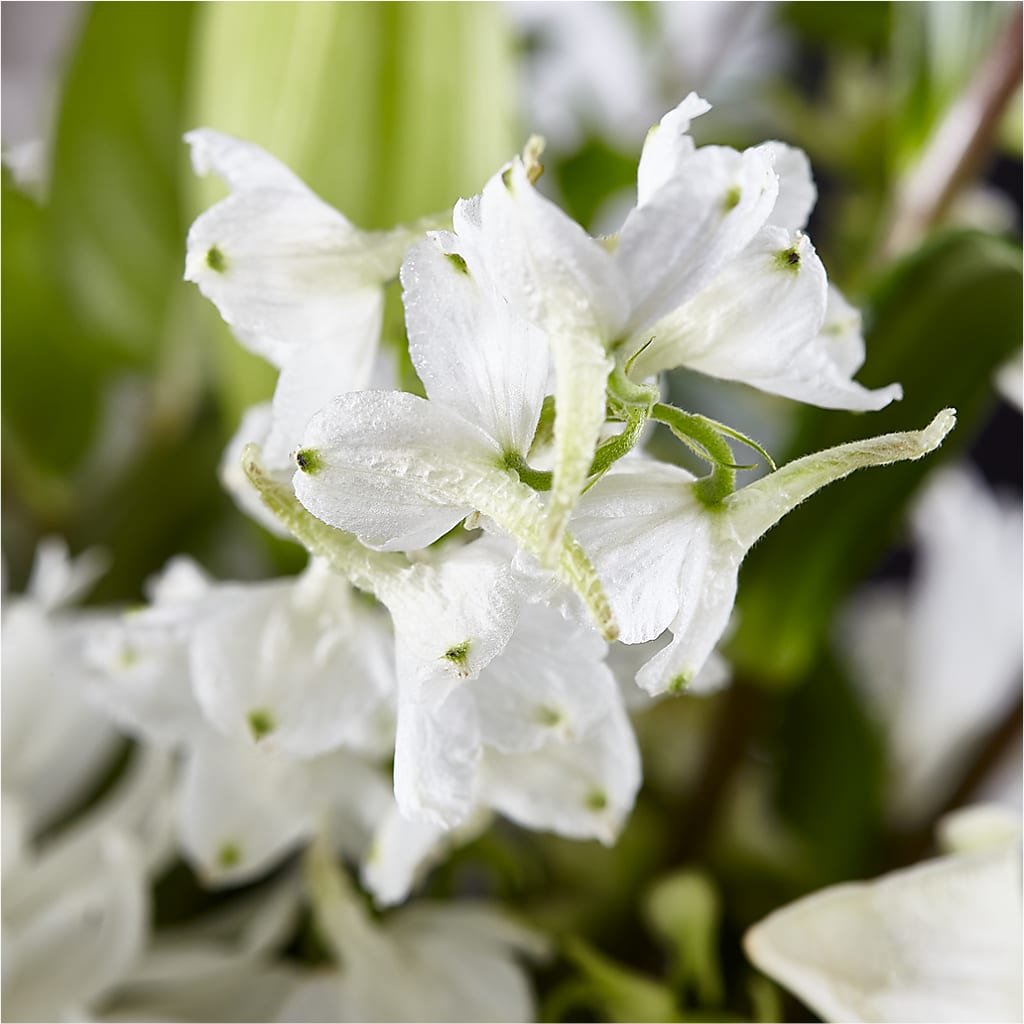 Classic Ivory – A Florist Original –  Lone Oak Gardens, Fairmount IN