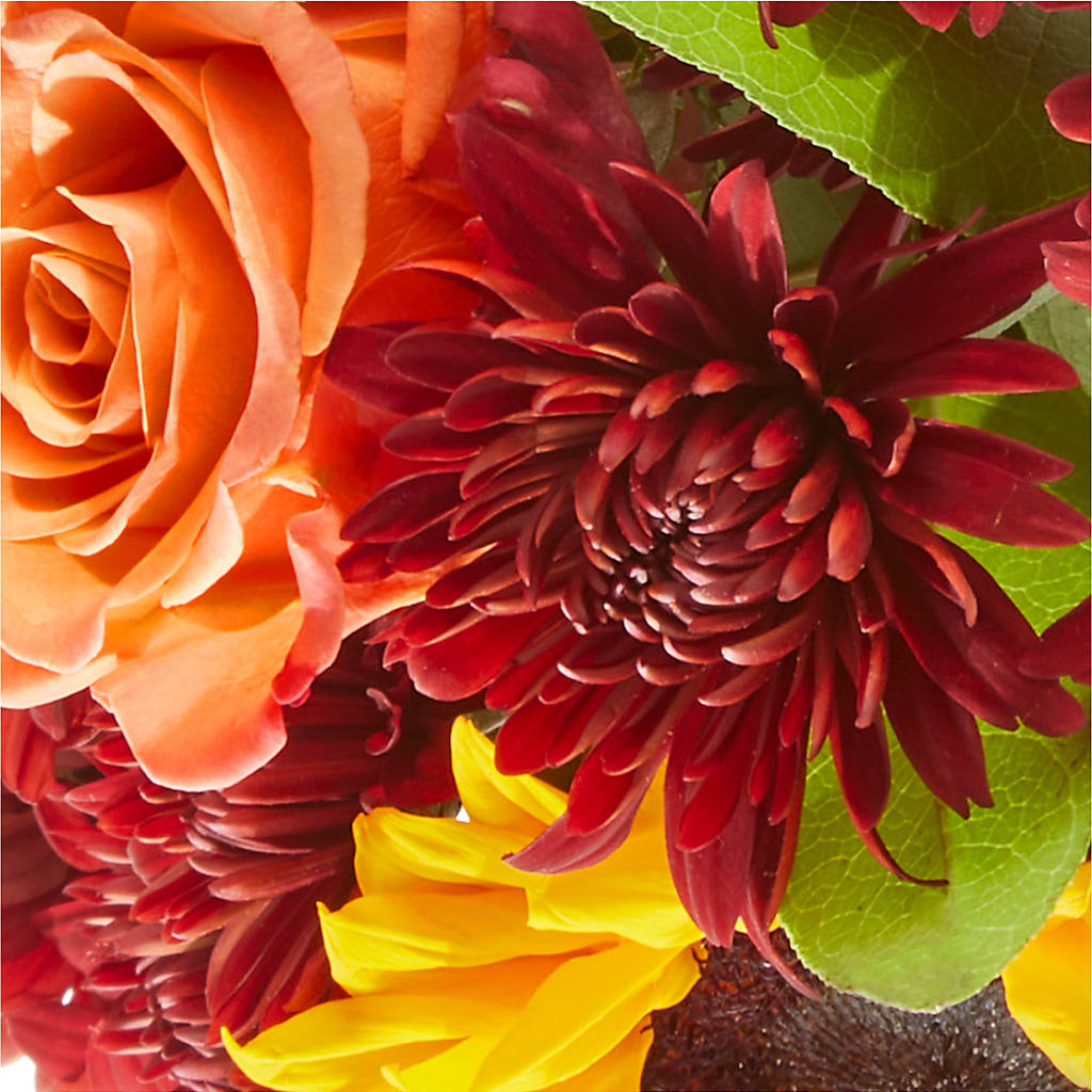 September Sunset Bouquet –  Lone Oak Gardens, Fairmount IN