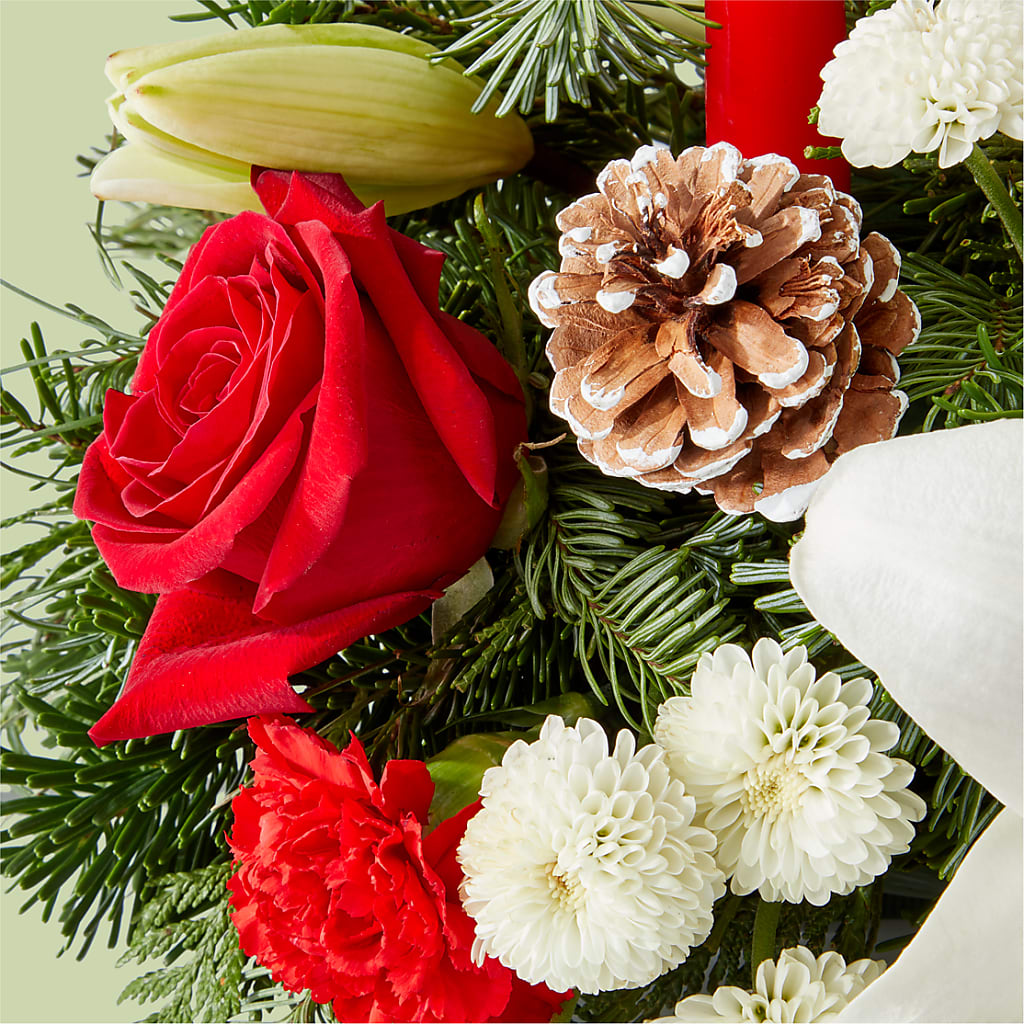Seasonal Festivities Centerpiece –  Lone Oak Gardens, Fairmount IN