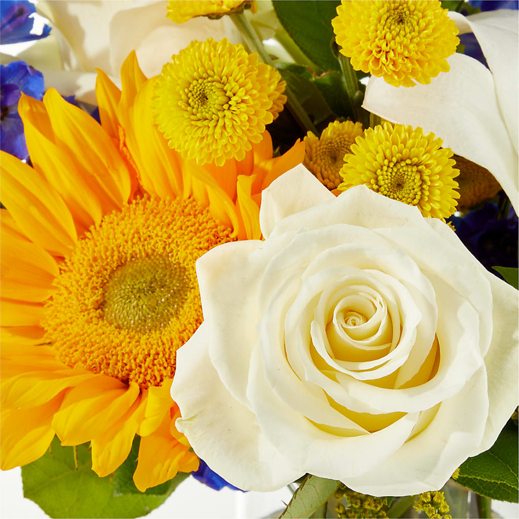 Stargazing Bouquet –  Lone Oak Gardens, Fairmount IN