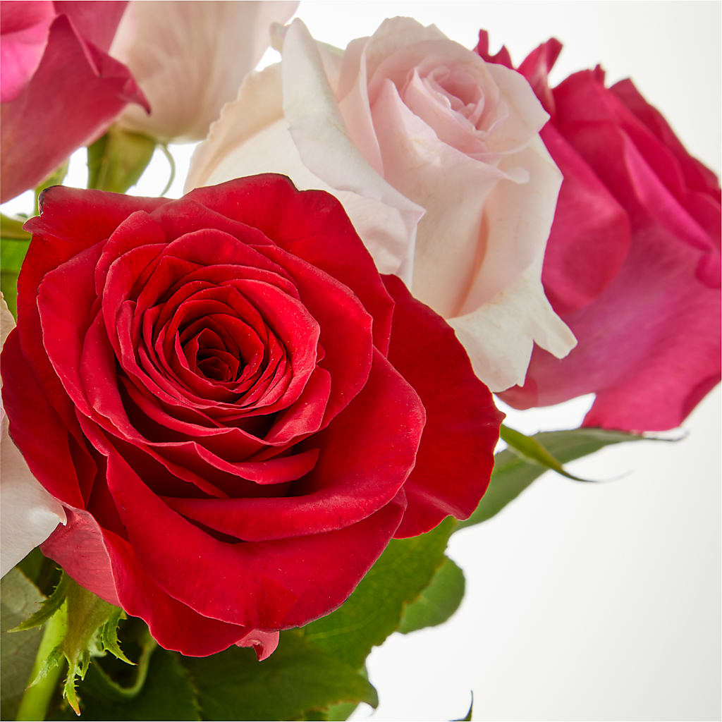 Charming Rose Bouquet –  Lone Oak Gardens, Fairmount IN