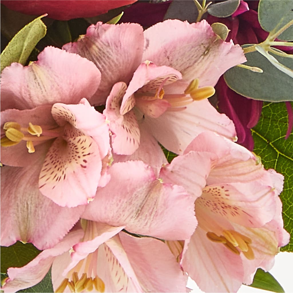 Berry Cobbler Bouquet –  Lone Oak Gardens, Fairmount IN