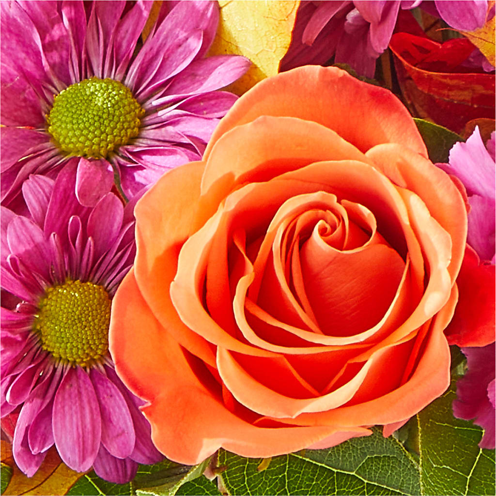Mum's the Word Bouquet –  Lone Oak Gardens, Fairmount IN