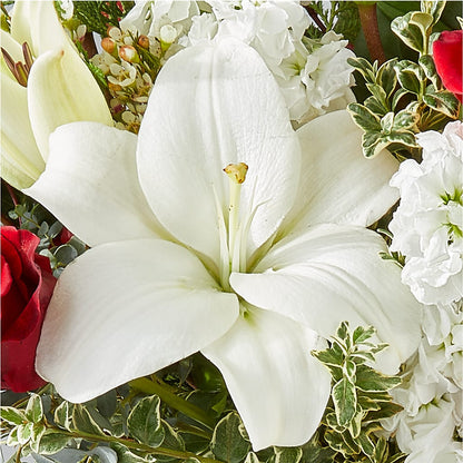 Twinkle Lights Bouquet –  Lone Oak Gardens, Fairmount IN