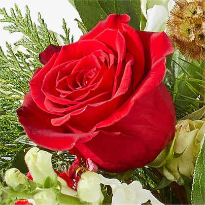 Deck the Halls Bouquet –  Lone Oak Gardens, Fairmount IN