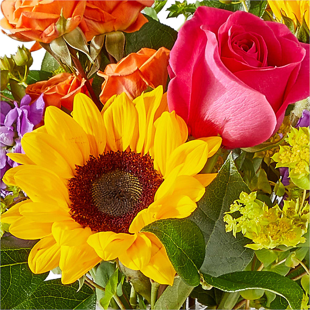 Vibrant Greetings Bouquet –  Lone Oak Gardens, Fairmount IN