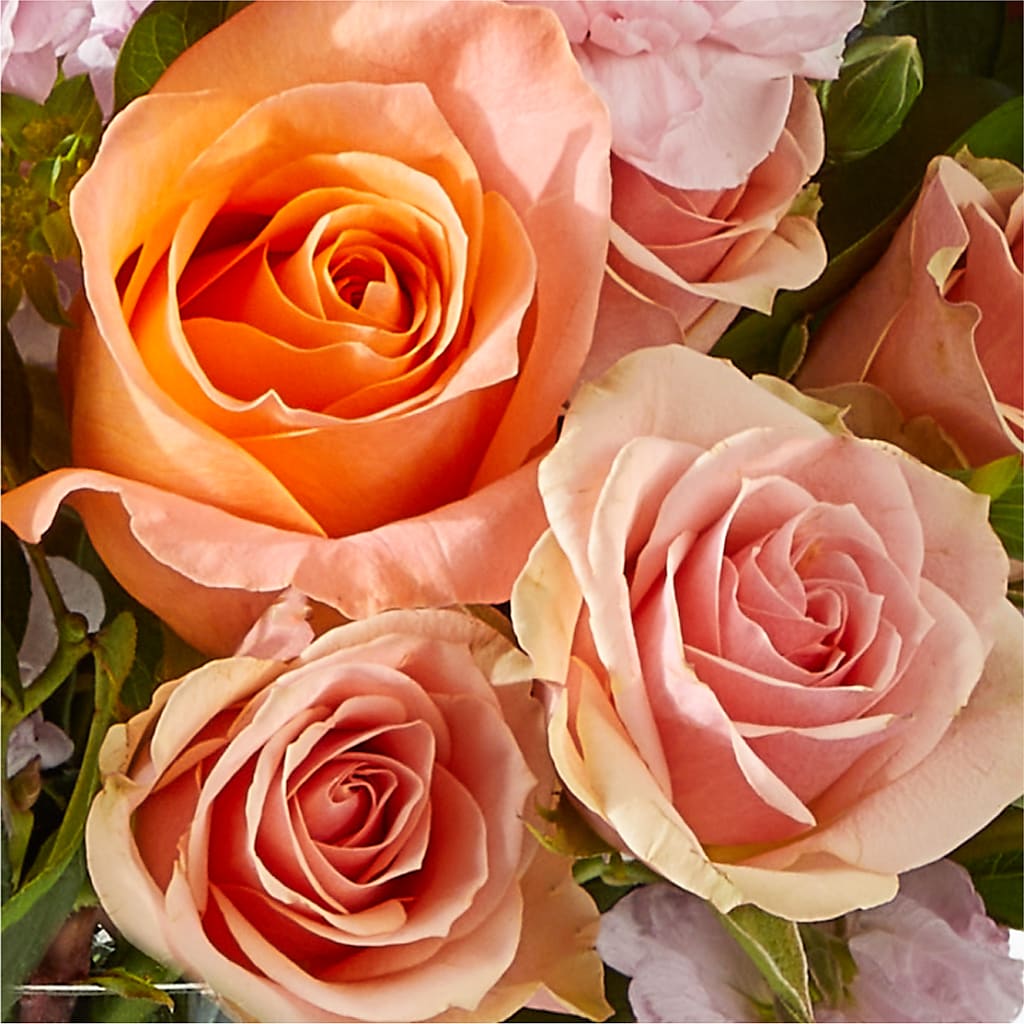 French Market Bouquet –  Lone Oak Gardens, Fairmount IN