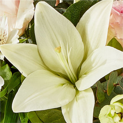 Ballet Slippers Bouquet –  Lone Oak Gardens, Fairmount IN