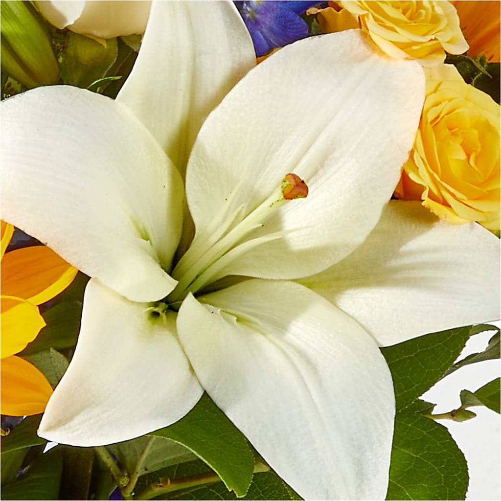 Wonderfully Sunny Bouquet –  Lone Oak Gardens, Fairmount IN