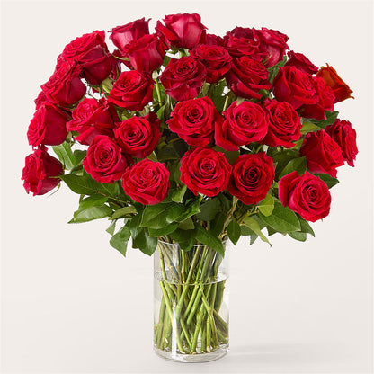 The One Red Rose Bouquet –  Lone Oak Gardens, Fairmount IN